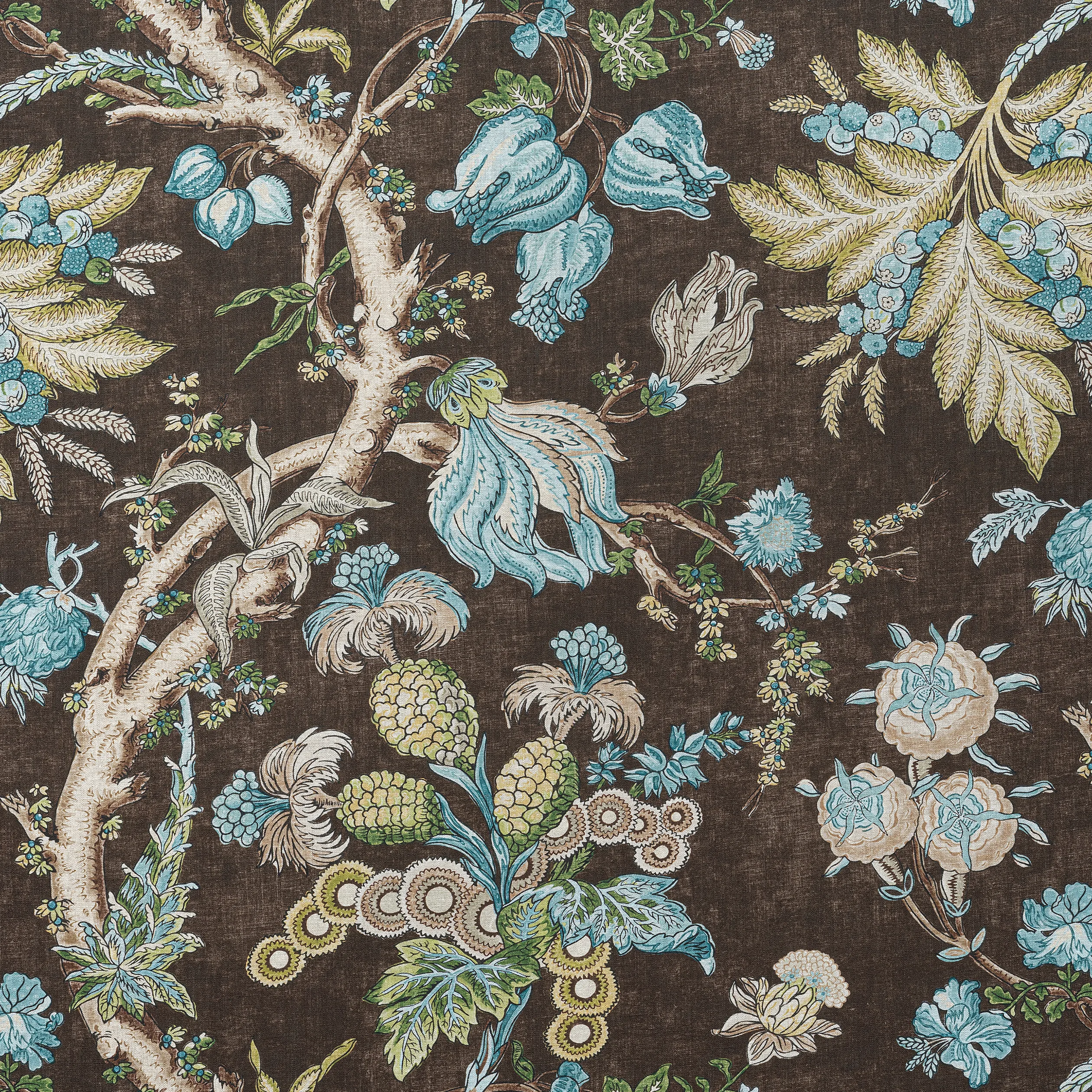 Thibaut Chatelain in Brown (F910843)