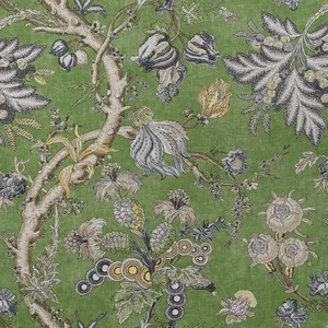 Thibaut Chatelain in Green (F910844)