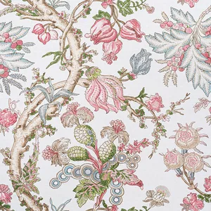 Thibaut Chatelain in Pink (F910848)