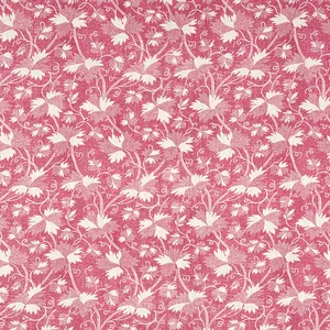 Thibaut Chester in Raspberry (F936434)