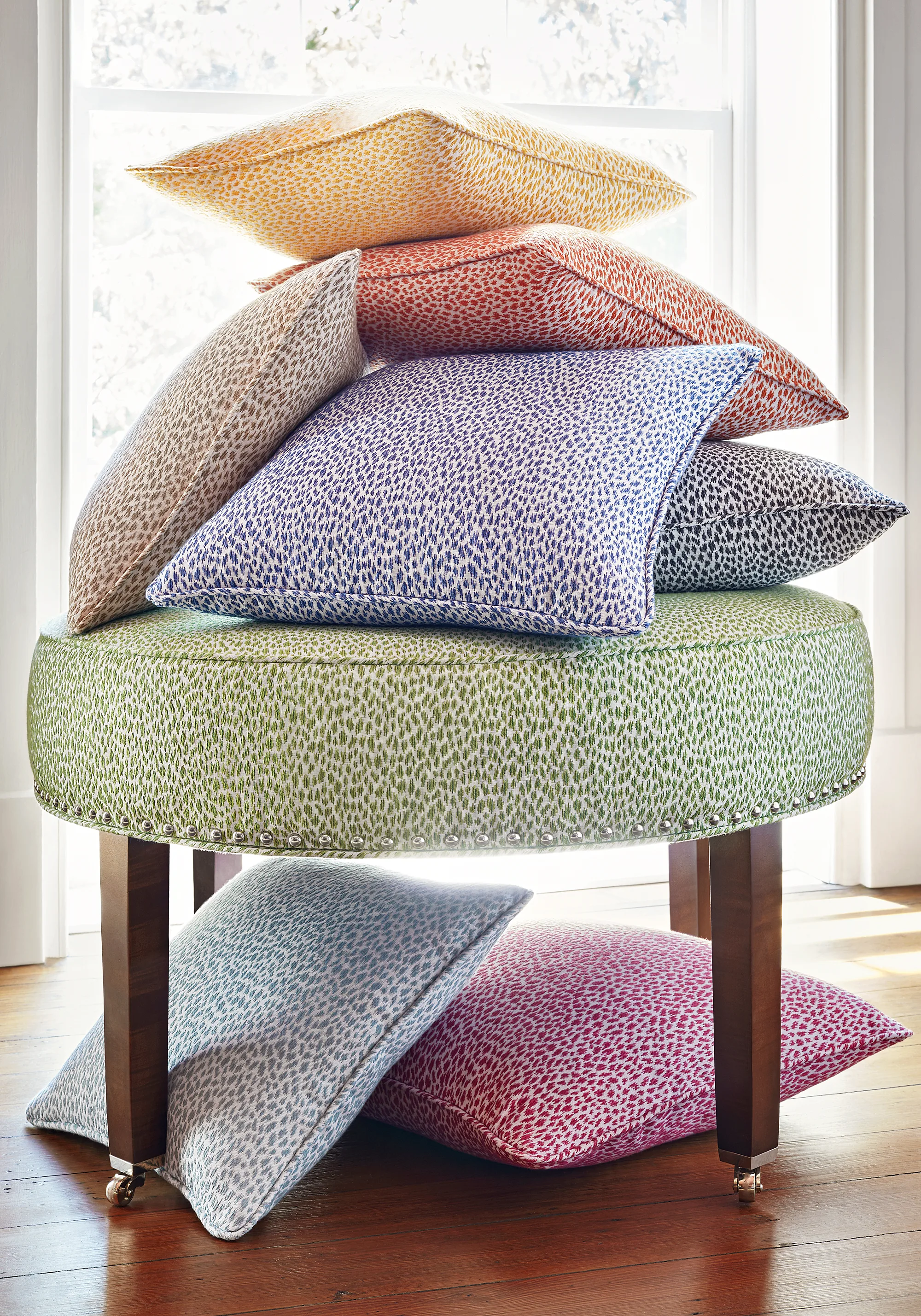 Thibaut Citra in Aqua (W80458)