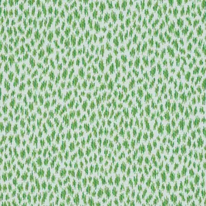 Thibaut Citra in Grass (W80456)