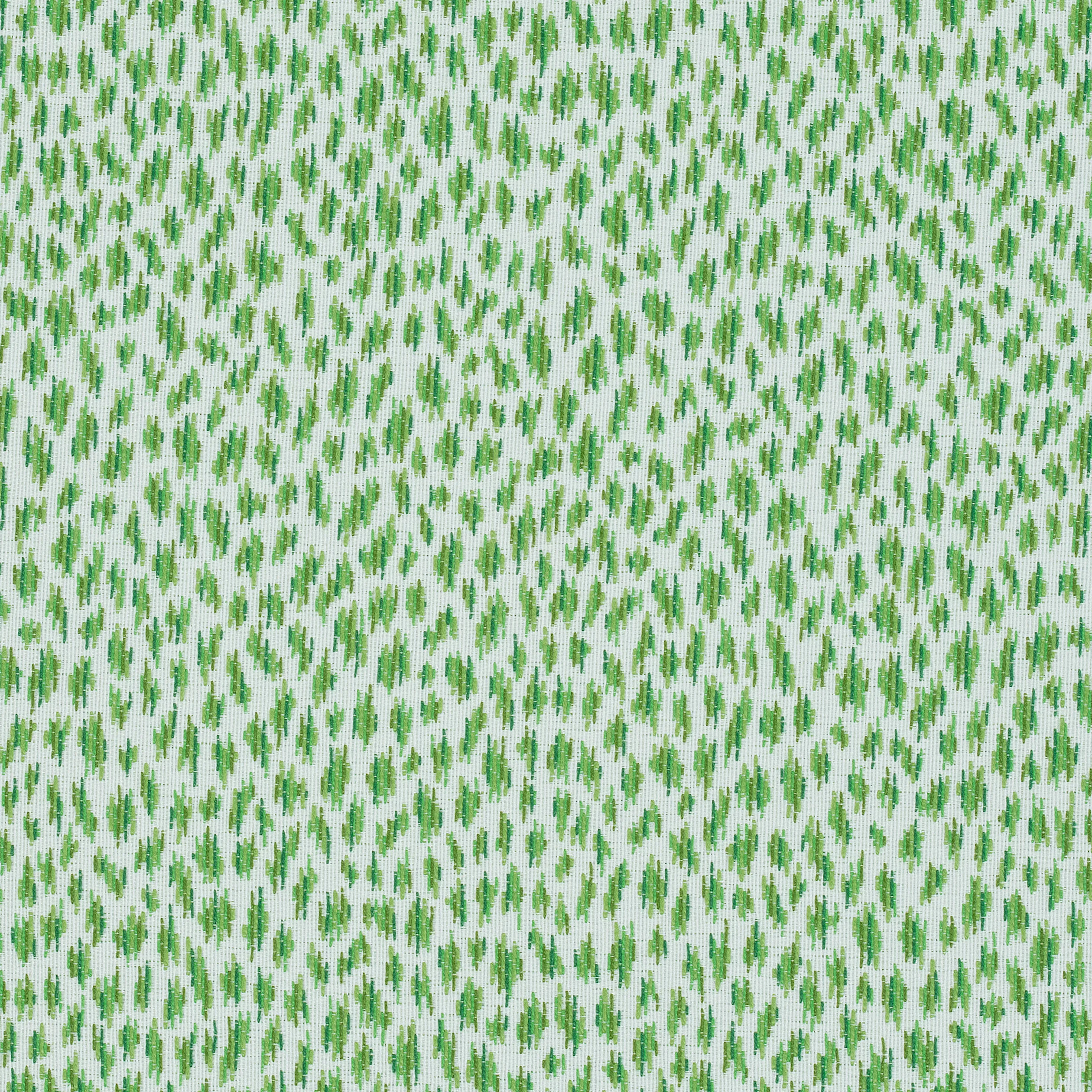 W80456 | Citra – Grass