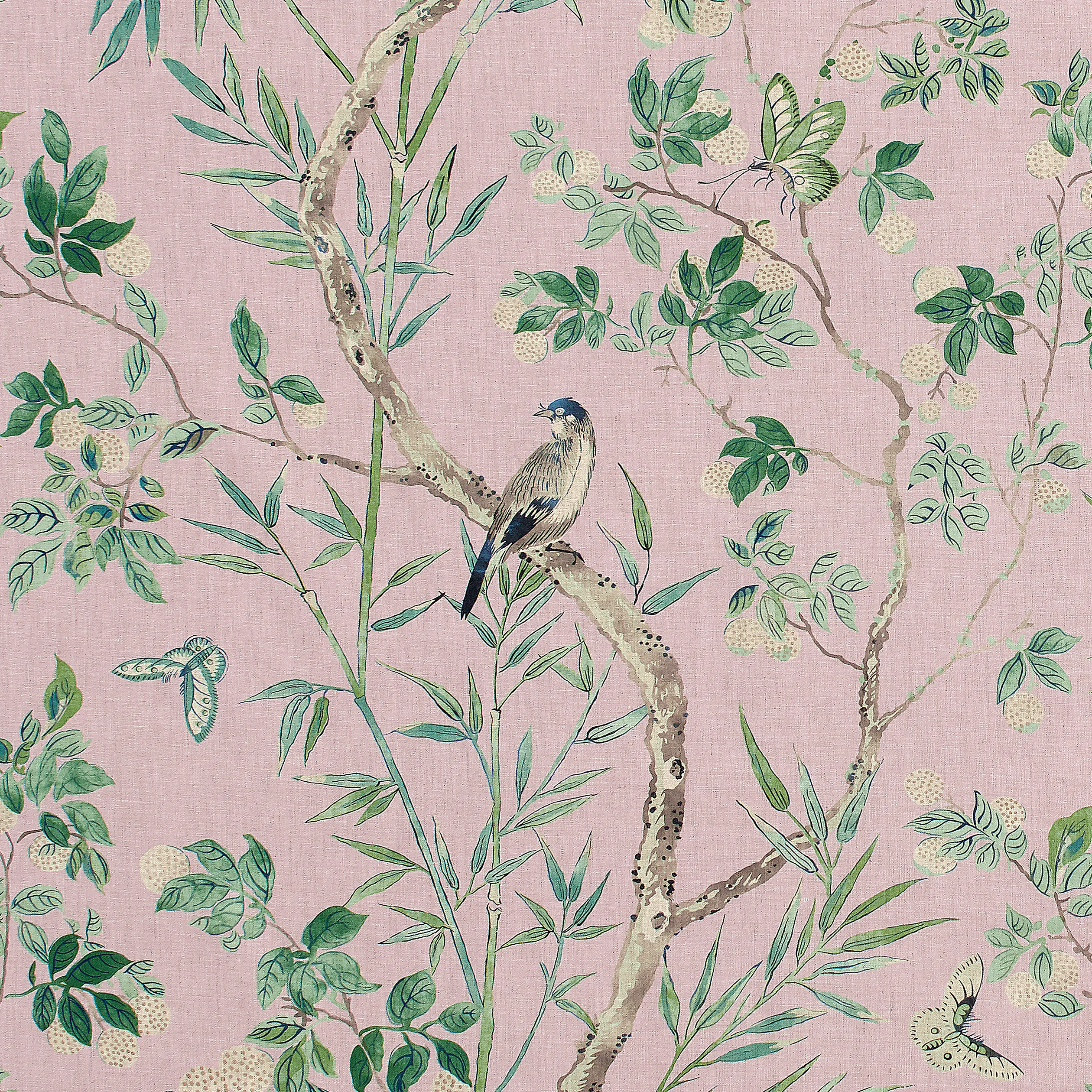 F942011 | Claire – Lavender