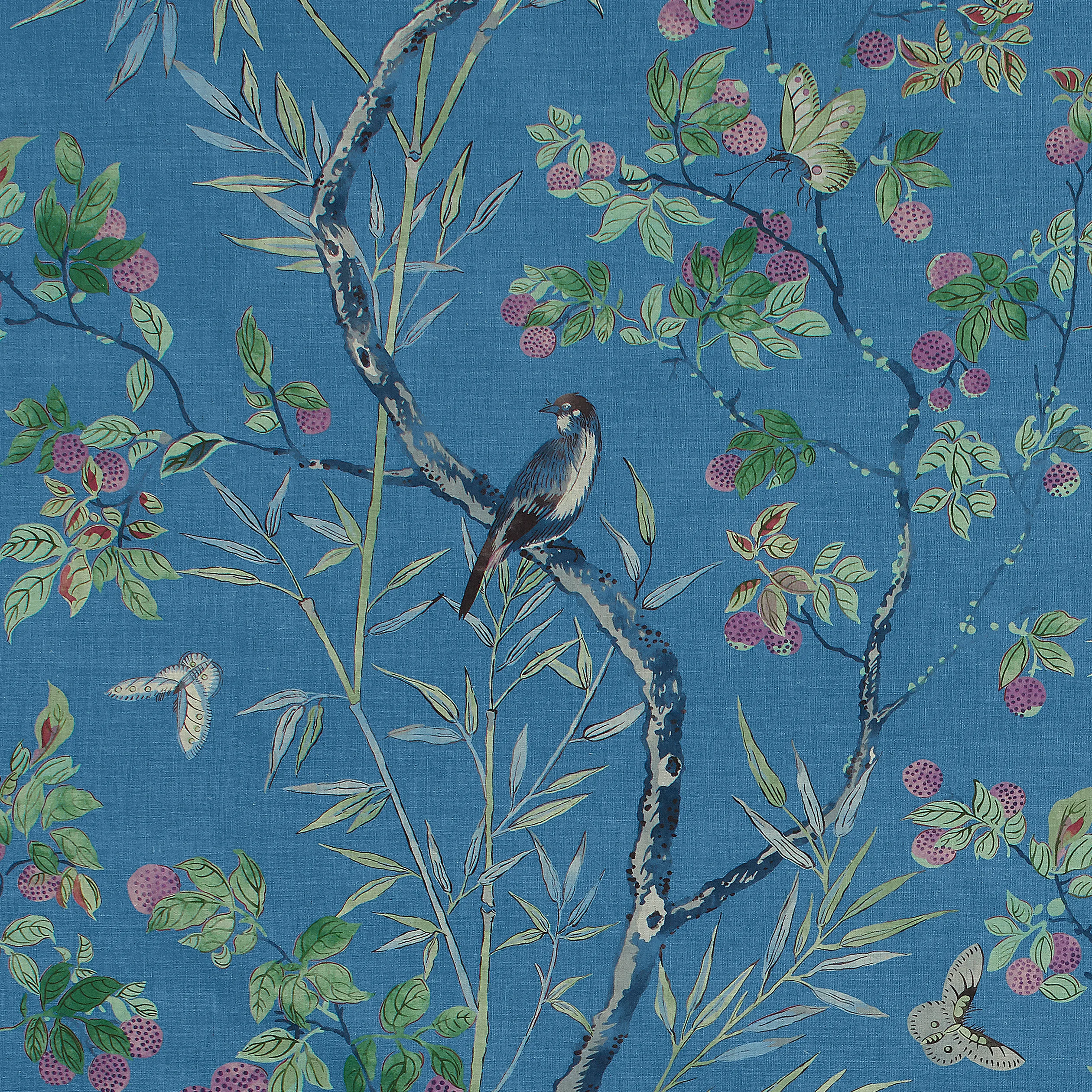 F942008 | Claire – Navy