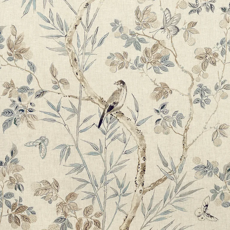 Thibaut Claire in Neutral (F942012)