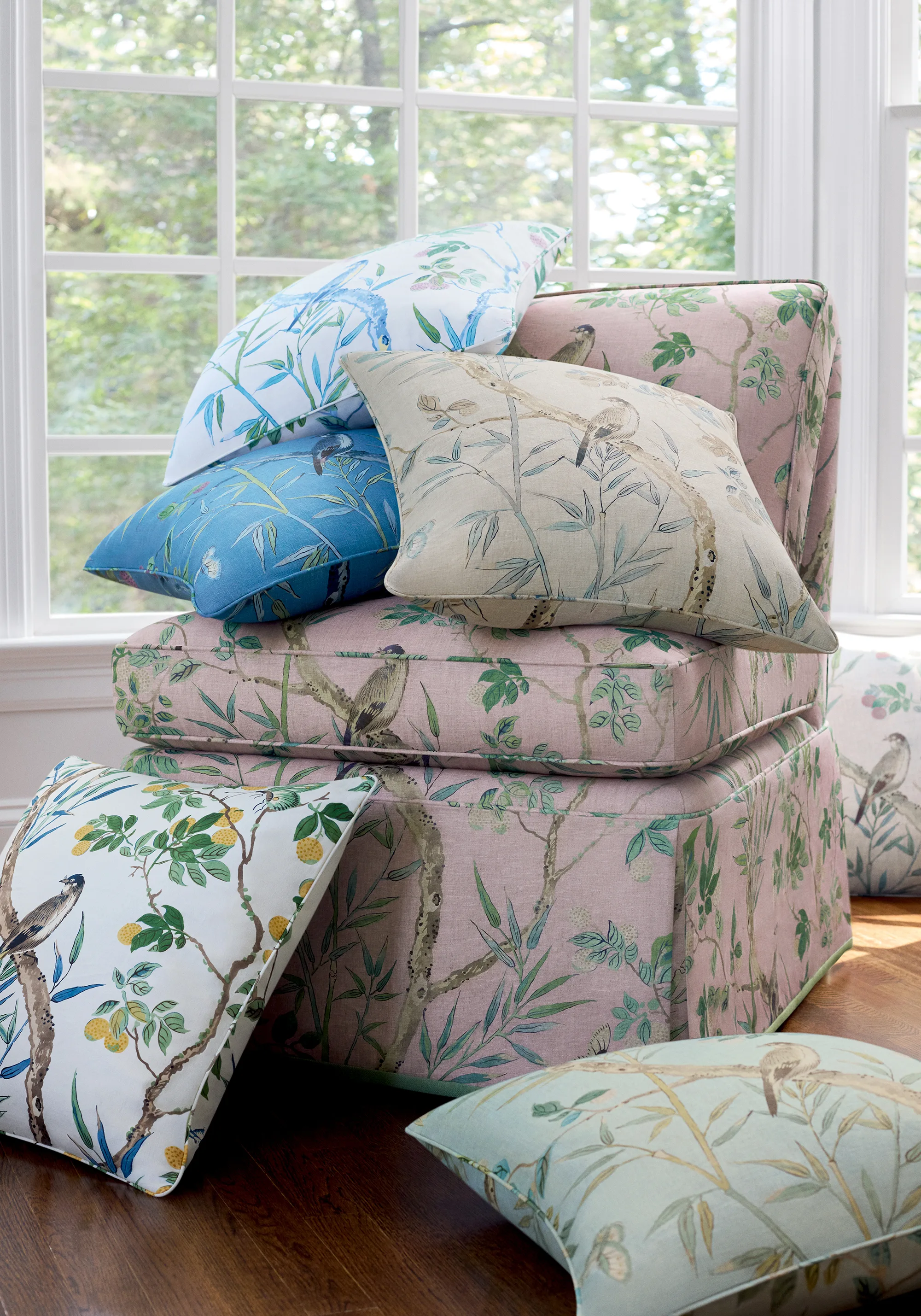 Thibaut Claire in Neutral (F942012)