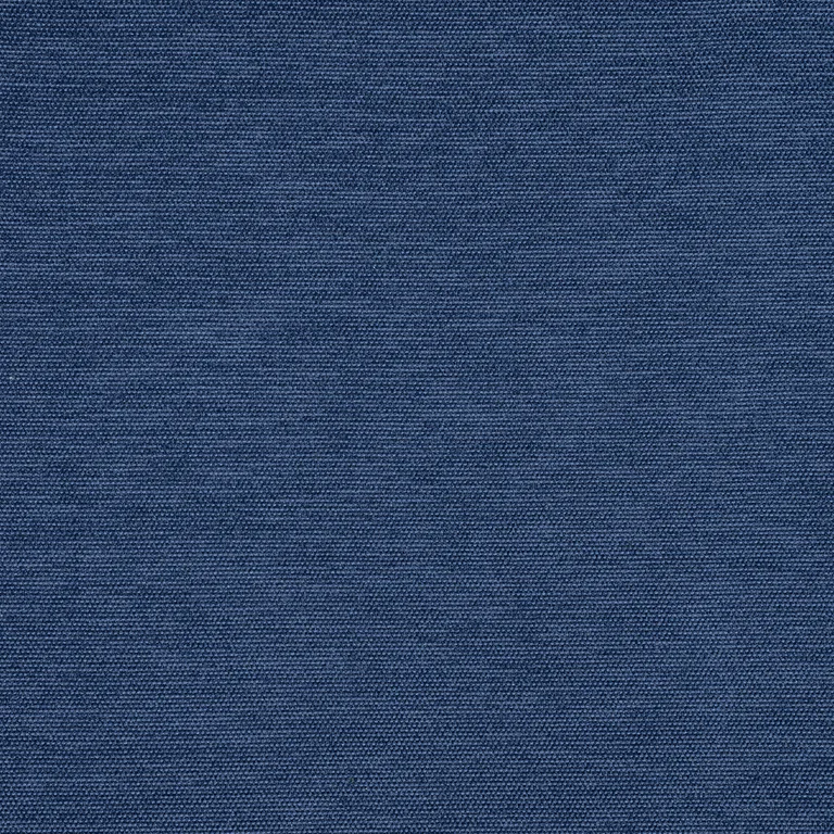 Thibaut Clara in Bermuda (W8601)