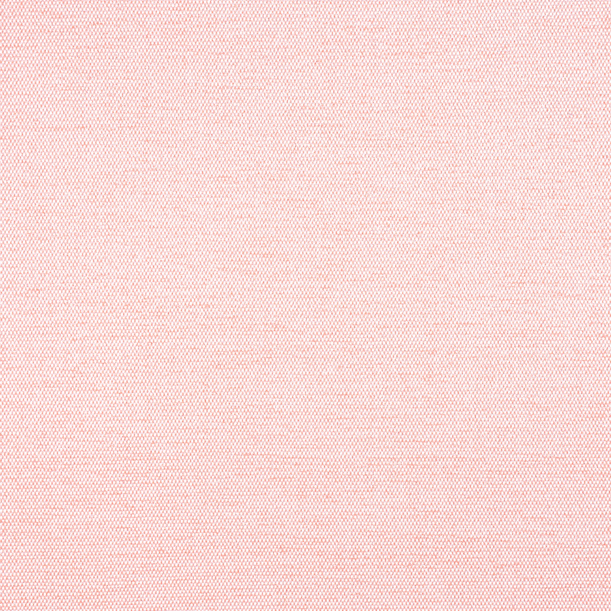W8594 | Clara – Seashell