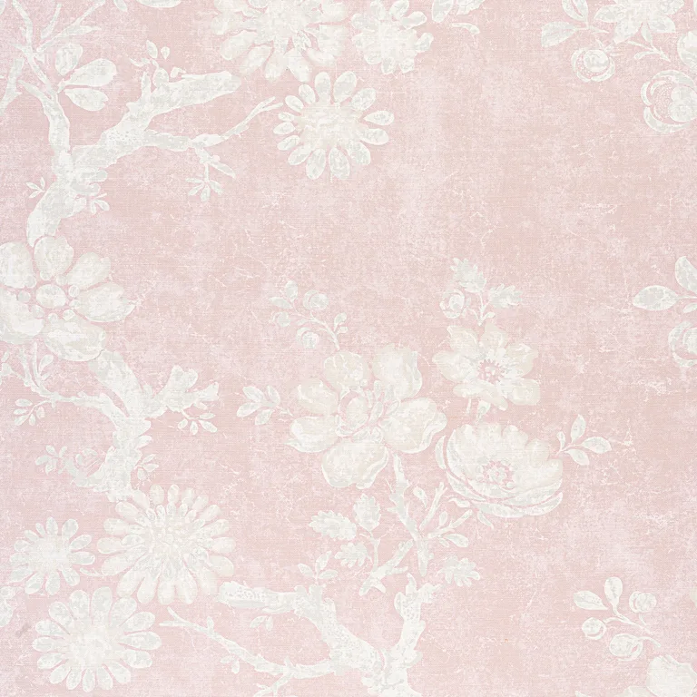 Thibaut Claudette in Blush (F910816)