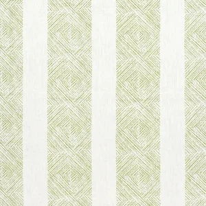 Anna French Clipperton Stripe in Green (AF15125)