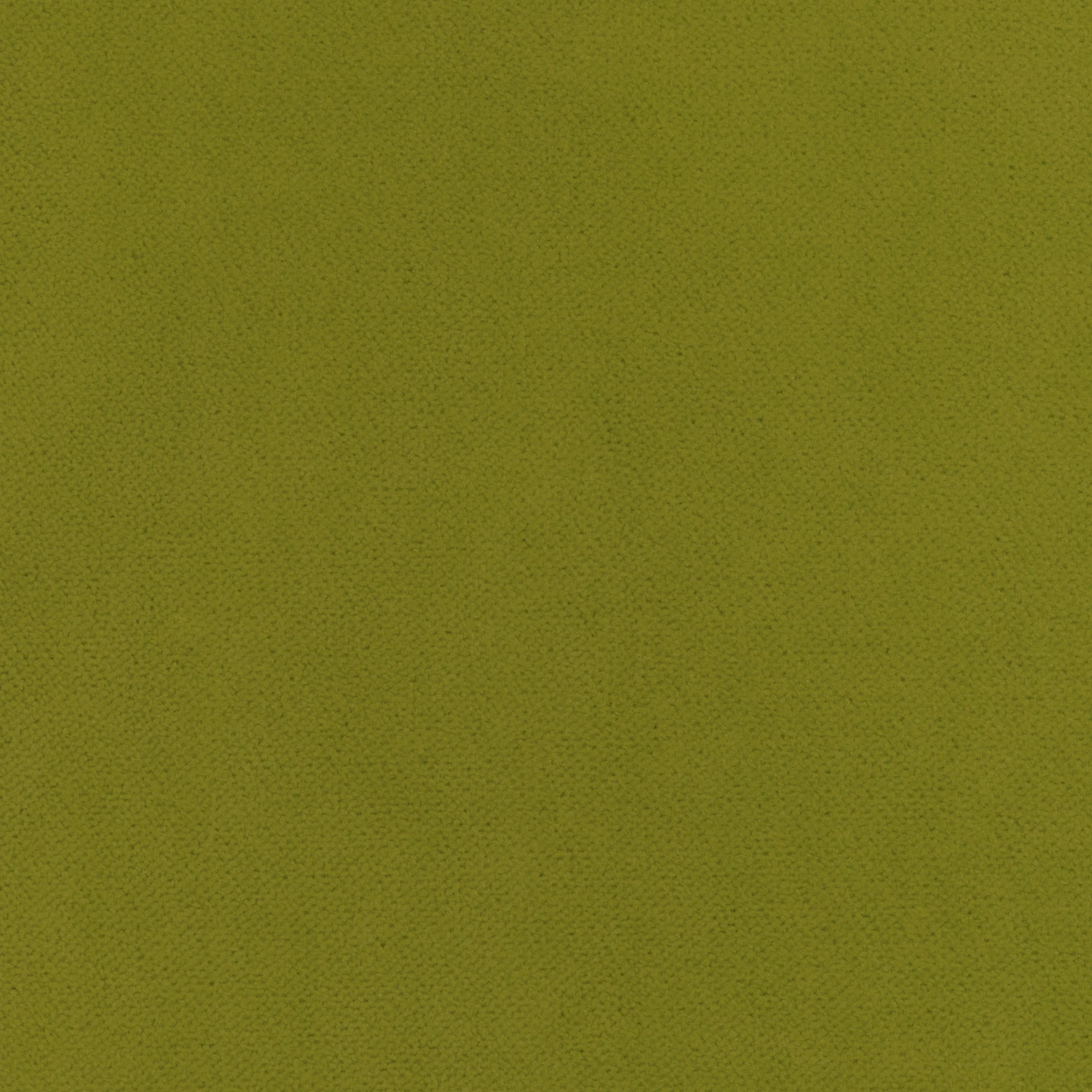 W7260 | Club Velvet – Citron