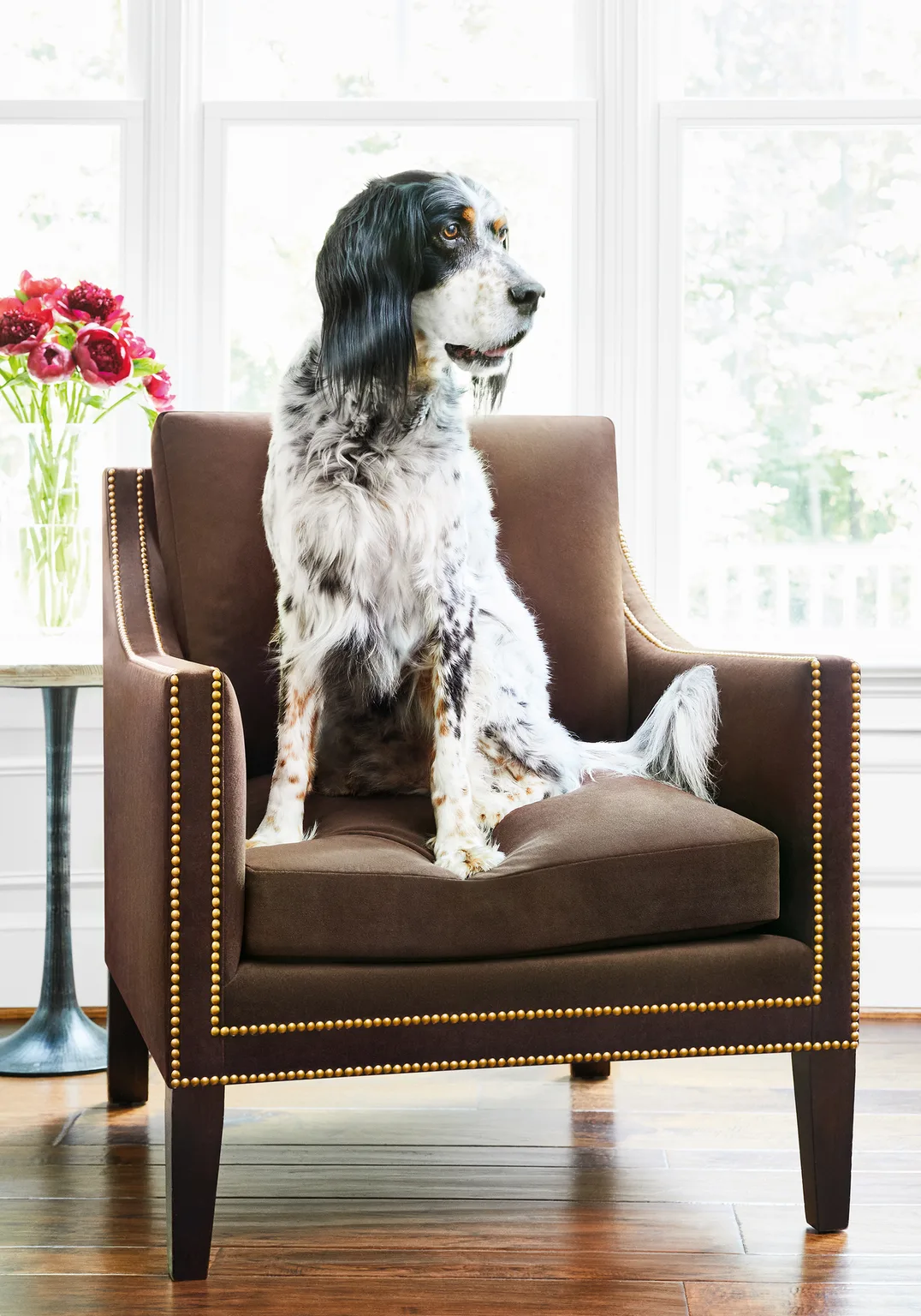 Thibaut Club Velvet in Espresso (W7227)