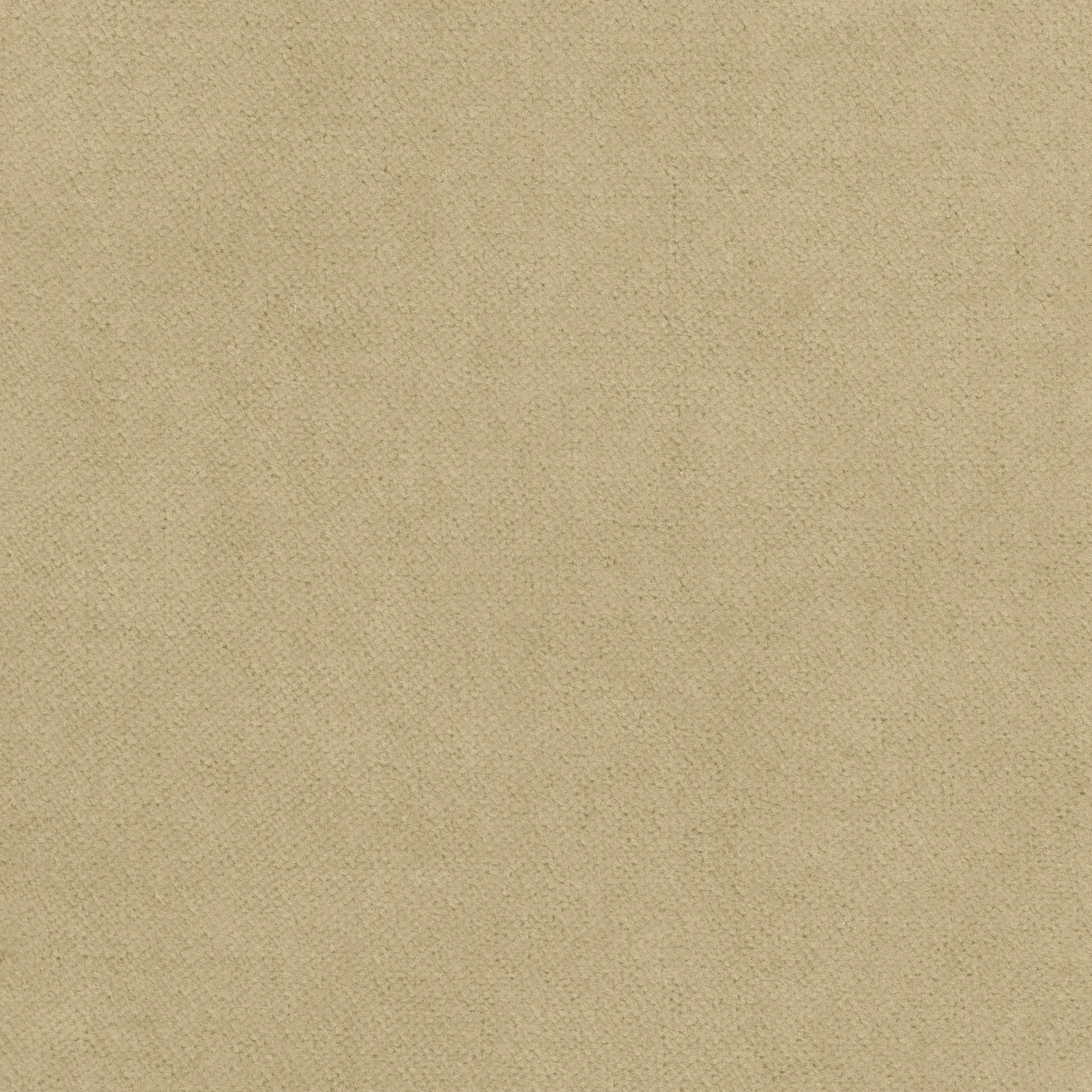 W7223 | Club Velvet – Fawn
