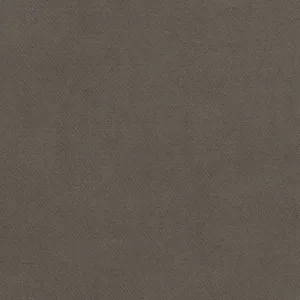 Thibaut Club Velvet in Flannel (W7220)
