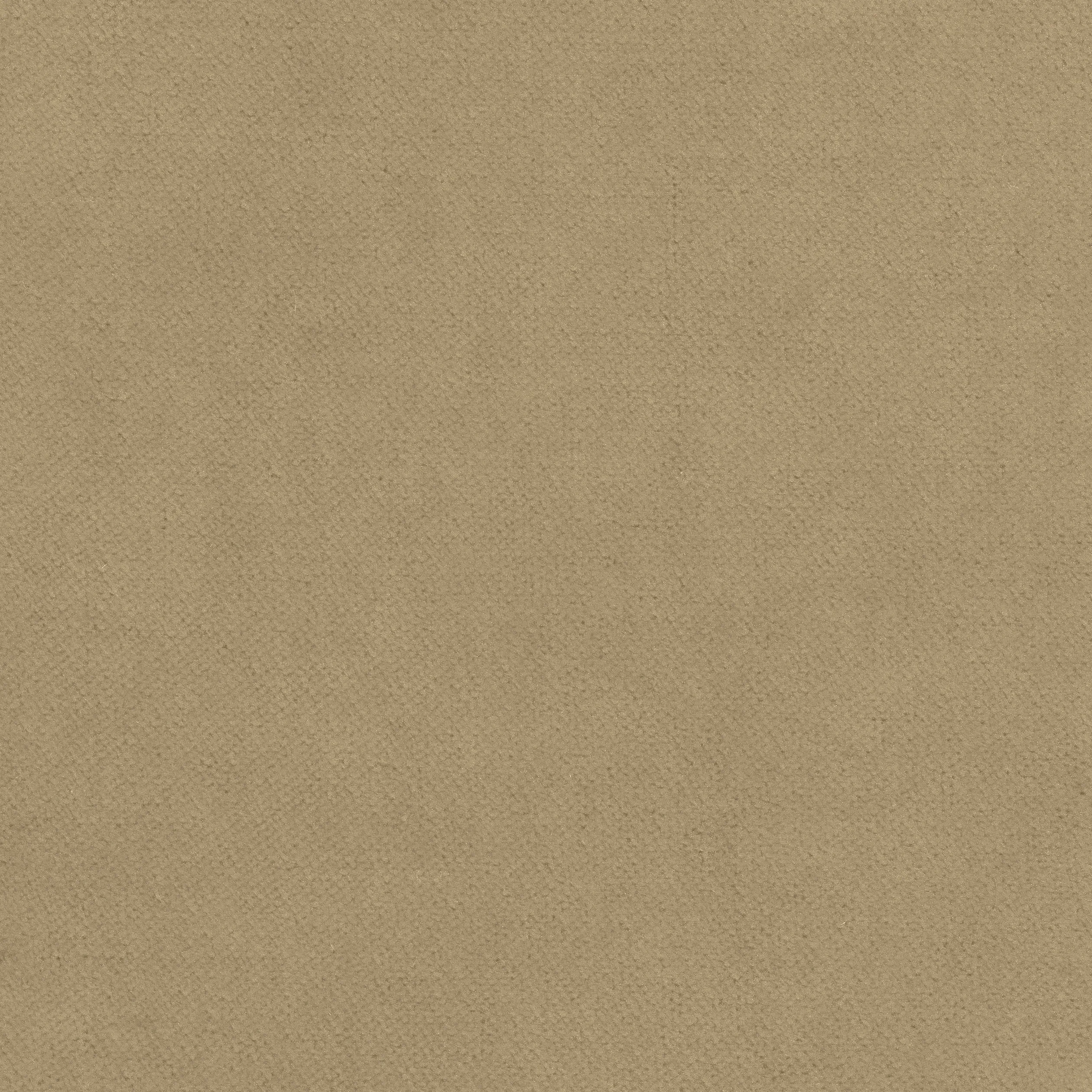 W7224 | Club Velvet – Flax