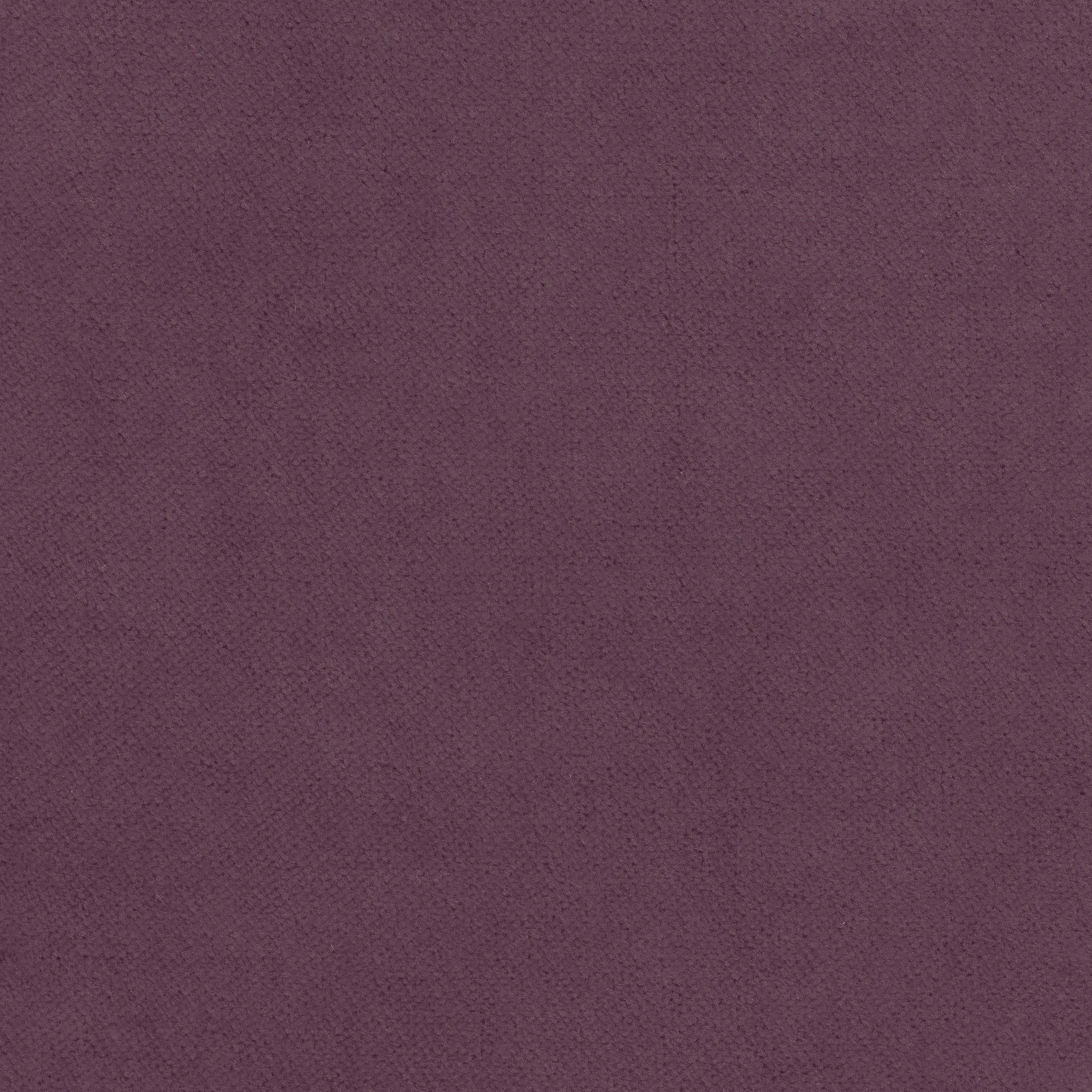 W7213 | Club Velvet – Mulberry