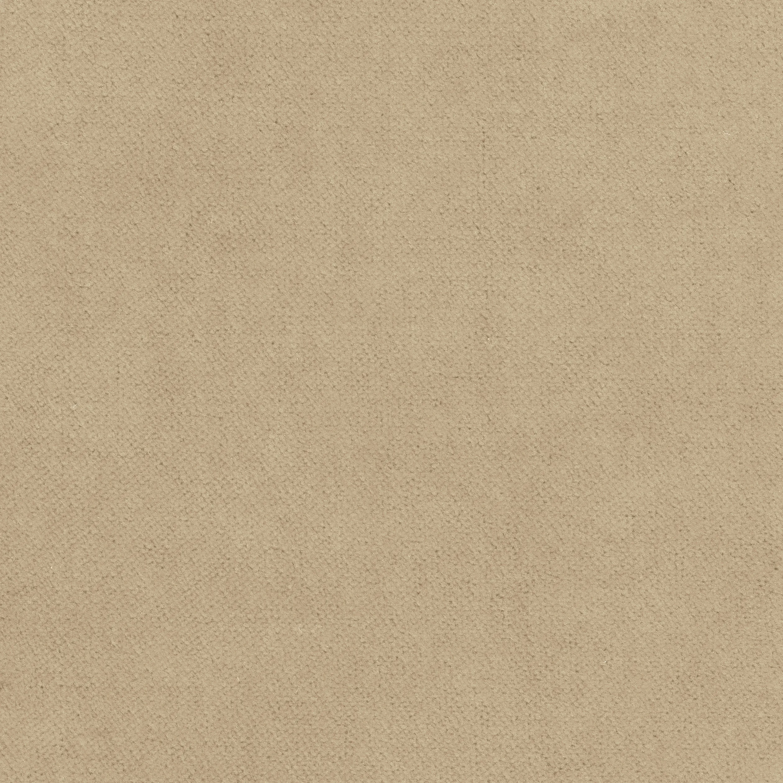 W7231 | Club Velvet – Sand