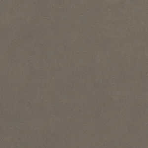 Thibaut Club Velvet in Smoke (W7221)