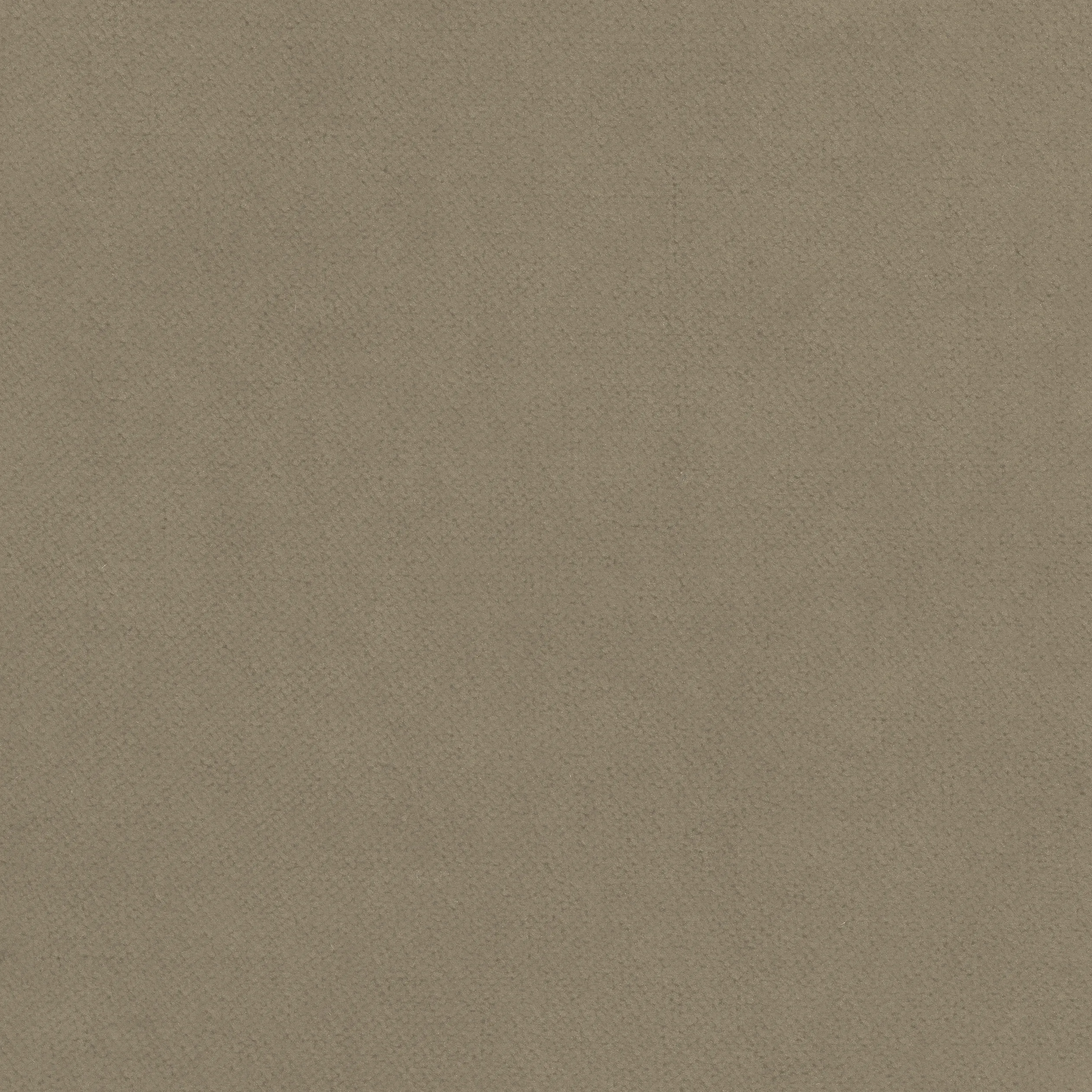 W7225 | Club Velvet – Taupe