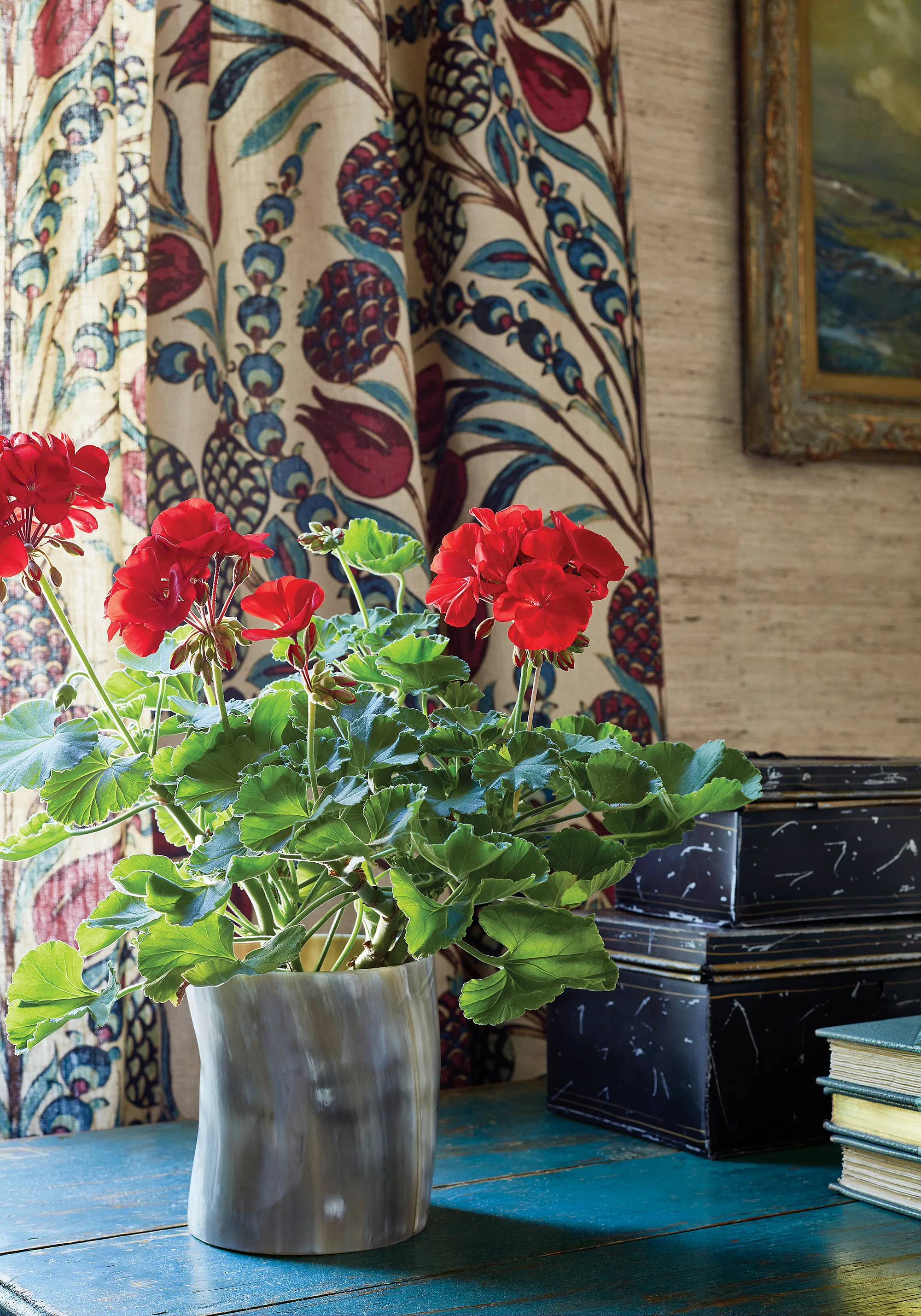 Thibaut Corneila in Red and Teal (F972601)