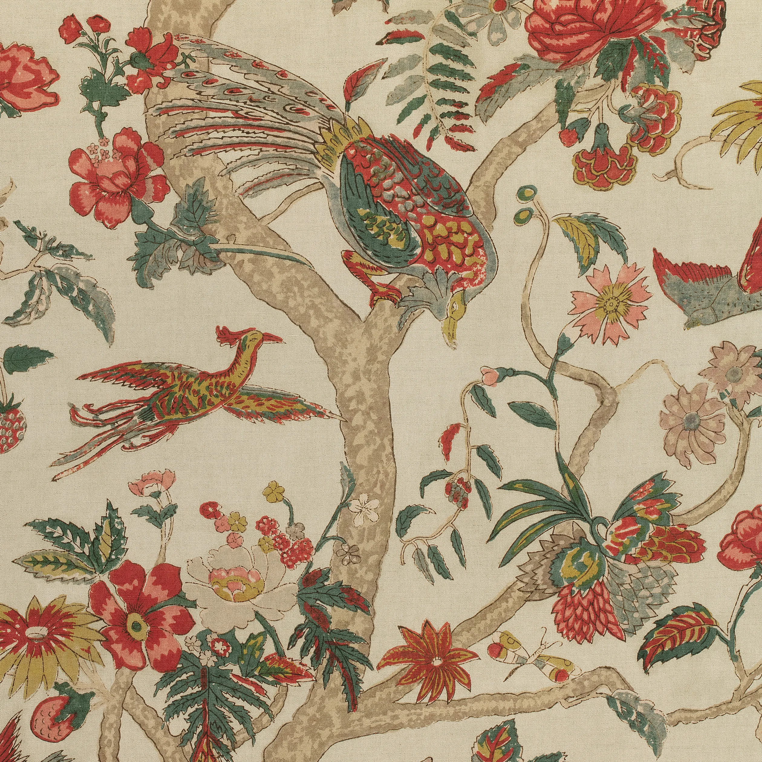 Thibaut Coromandel in Wheat (F910228)