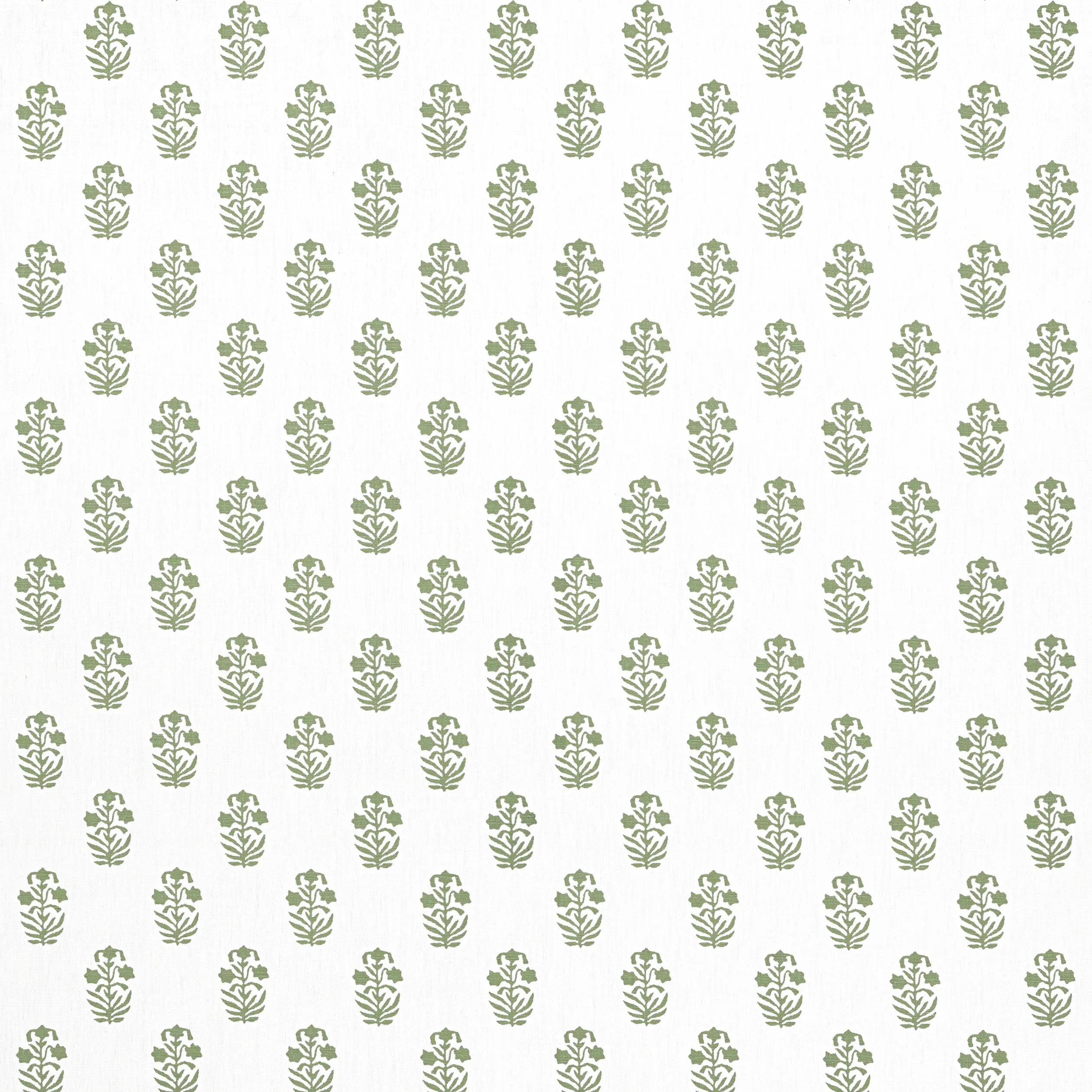 F936402 | Corwin – Green on White