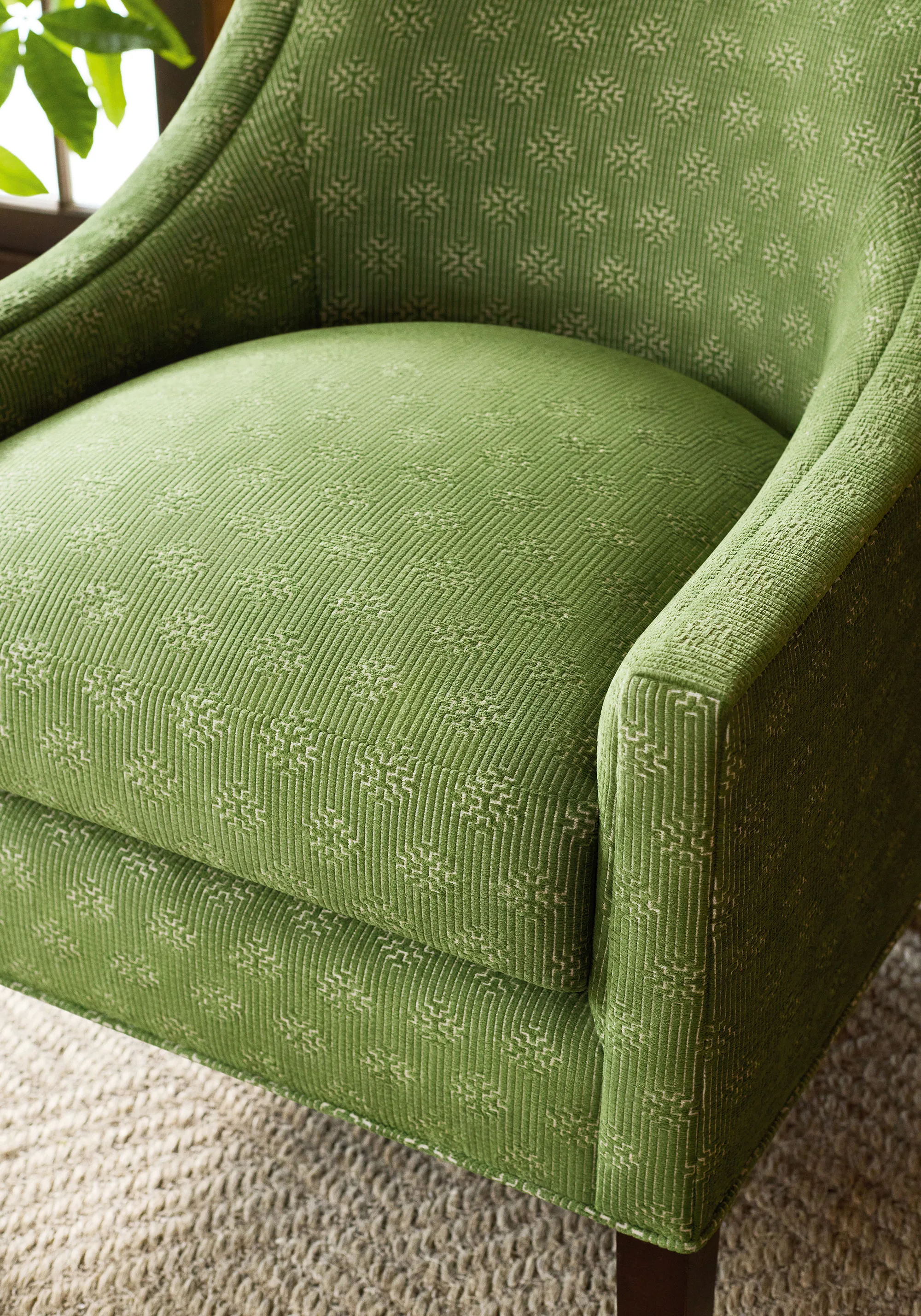 Thibaut Crete in Olive (W74211)