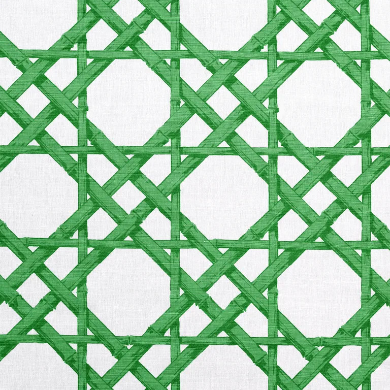 Thibaut Cyrus Cane in Emerald Green (F913140)