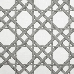 Thibaut Cyrus Cane in Grey (F913141)