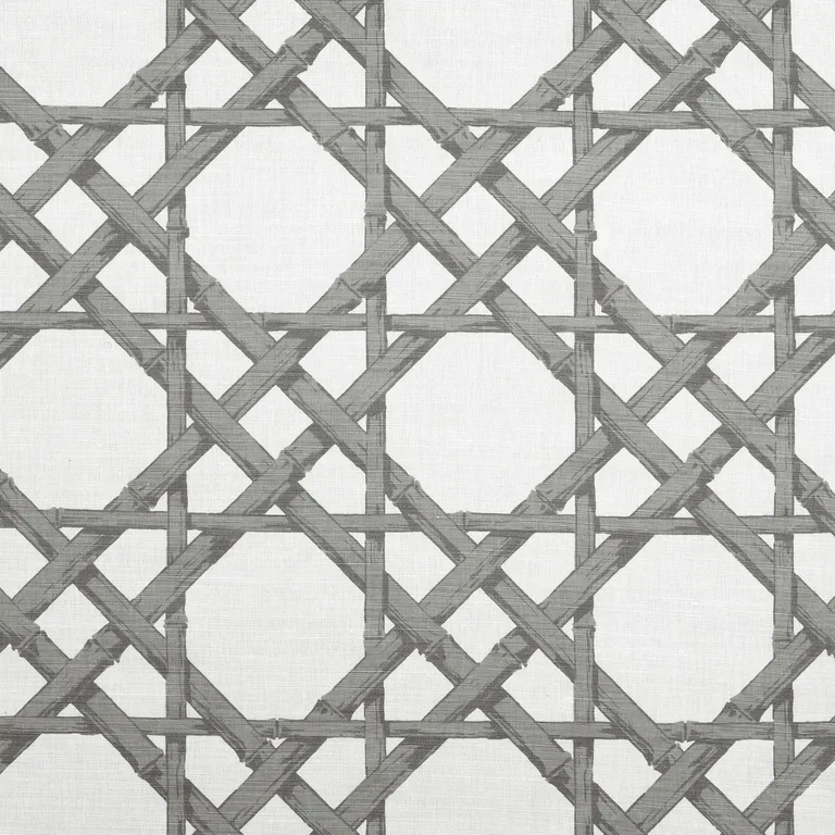 Thibaut Cyrus Cane in Grey (F913141)