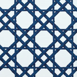 Thibaut Cyrus Cane in Navy (F913139)