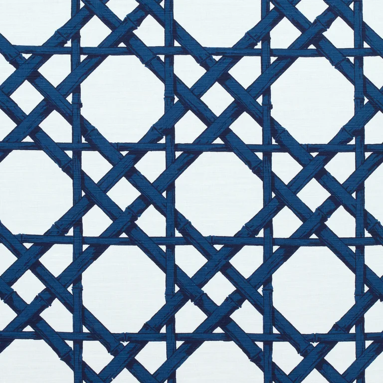 Thibaut Cyrus Cane in Navy (F913139)