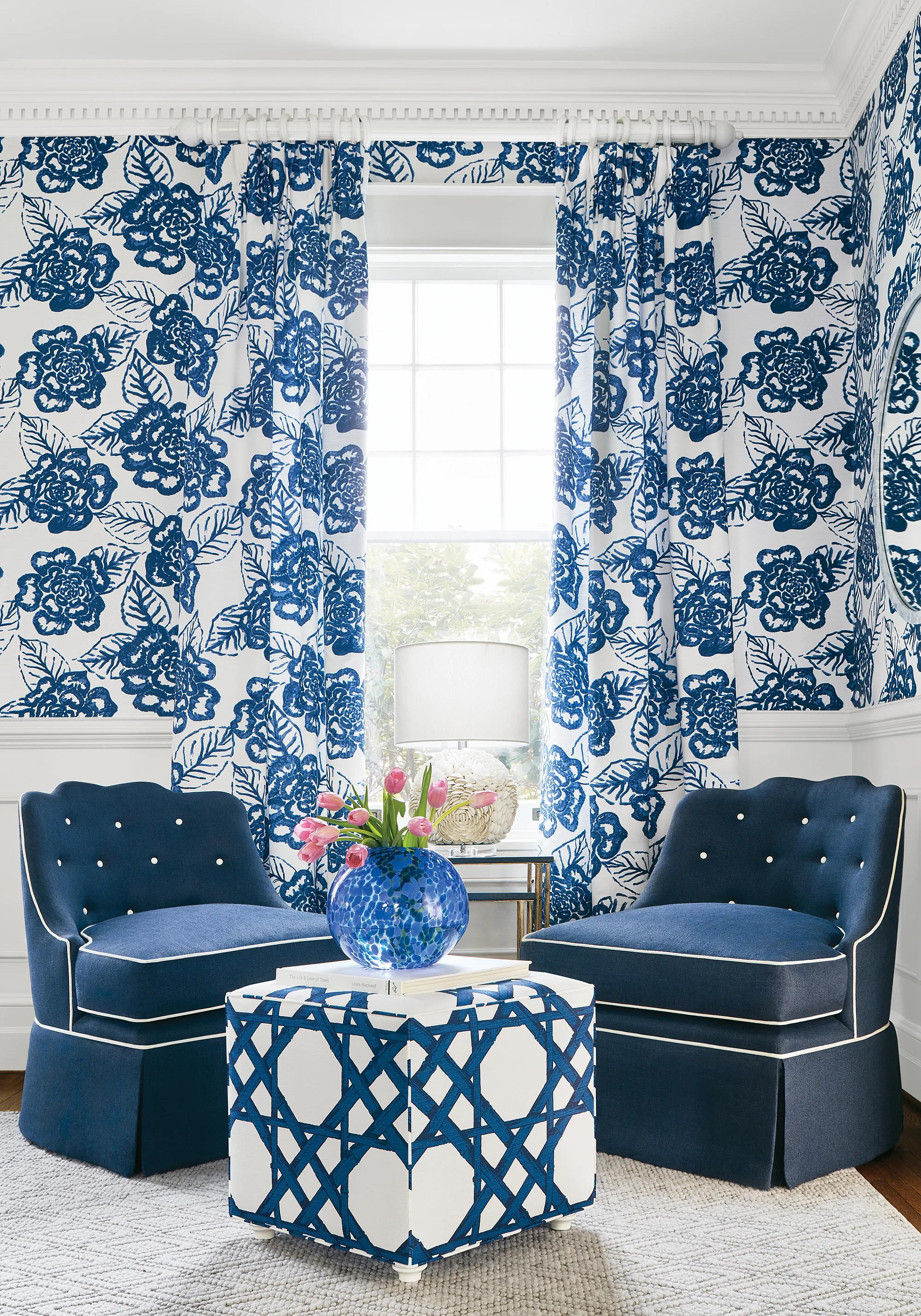 Thibaut Cyrus Cane in Navy (F913139)
