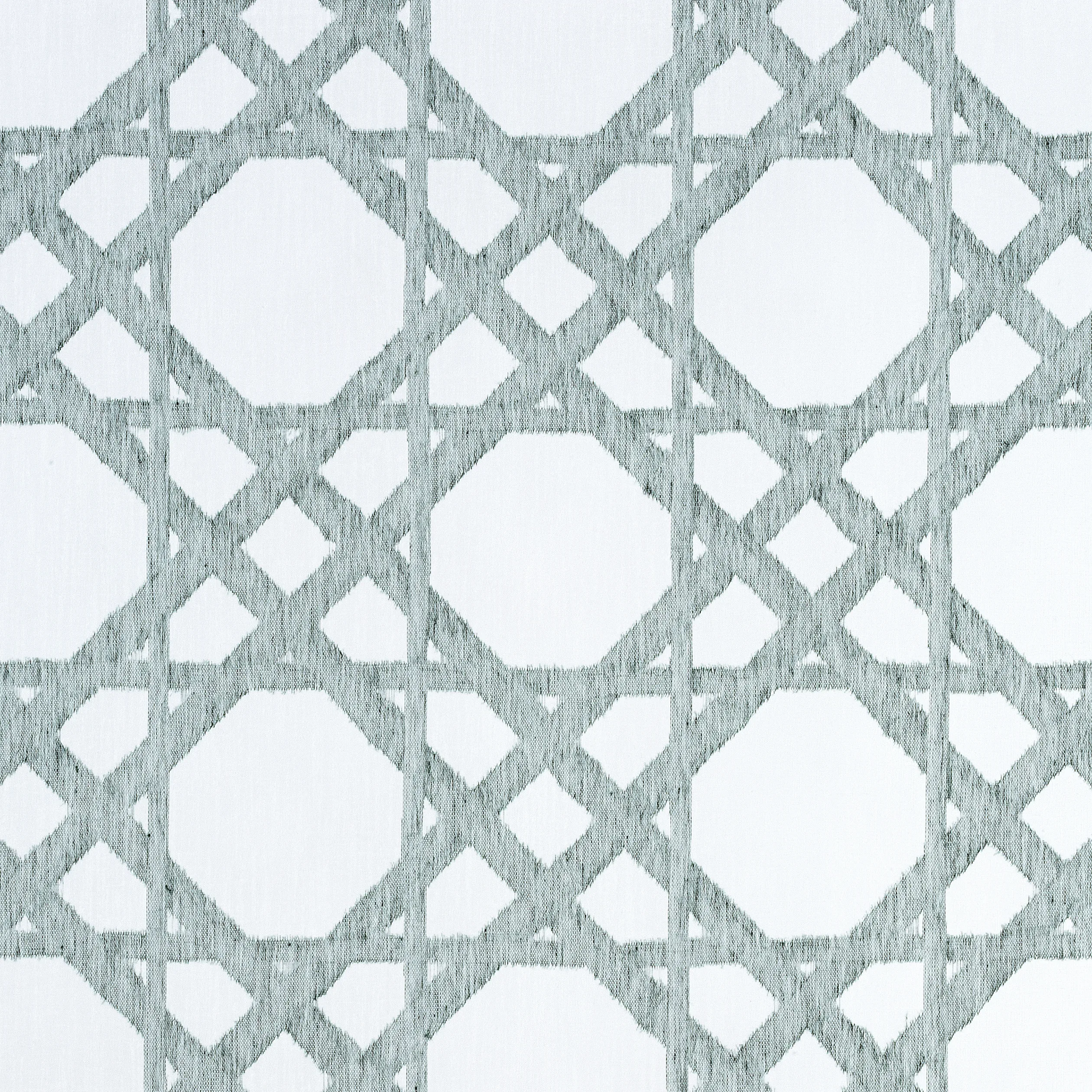 Thibaut Cyrus Cane Sheer in Emerald (FWW7136)