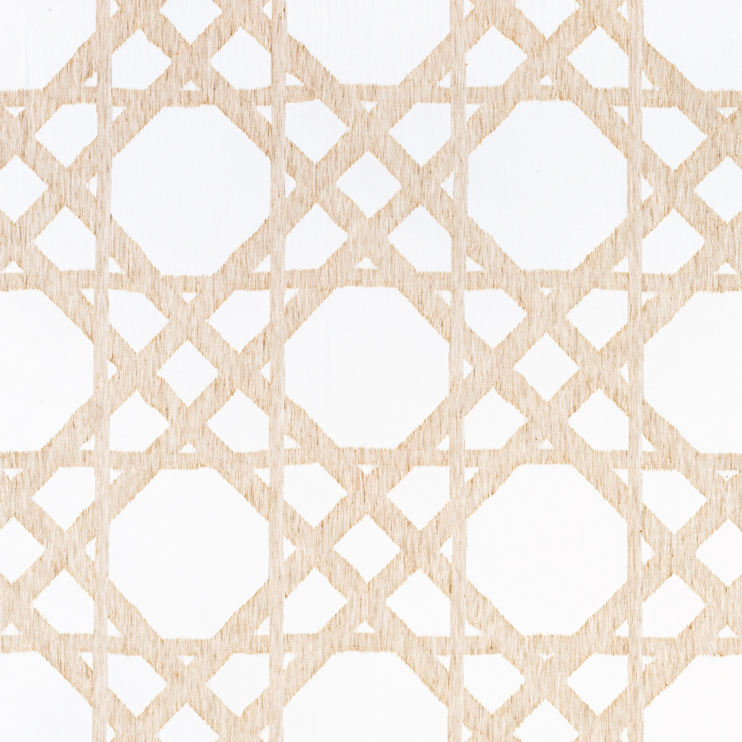Thibaut Cyrus Cane Sheer in Sand (FWW7133)