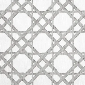 Thibaut Cyrus Cane Sheer in Smoke (FWW7135)