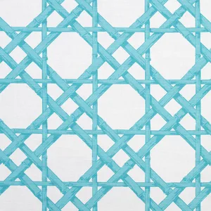 Thibaut Cyrus Cane in Turquoise (F913143)