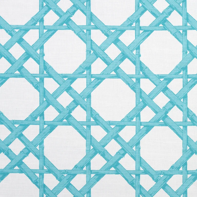 Thibaut Cyrus Cane in Turquoise (F913143)