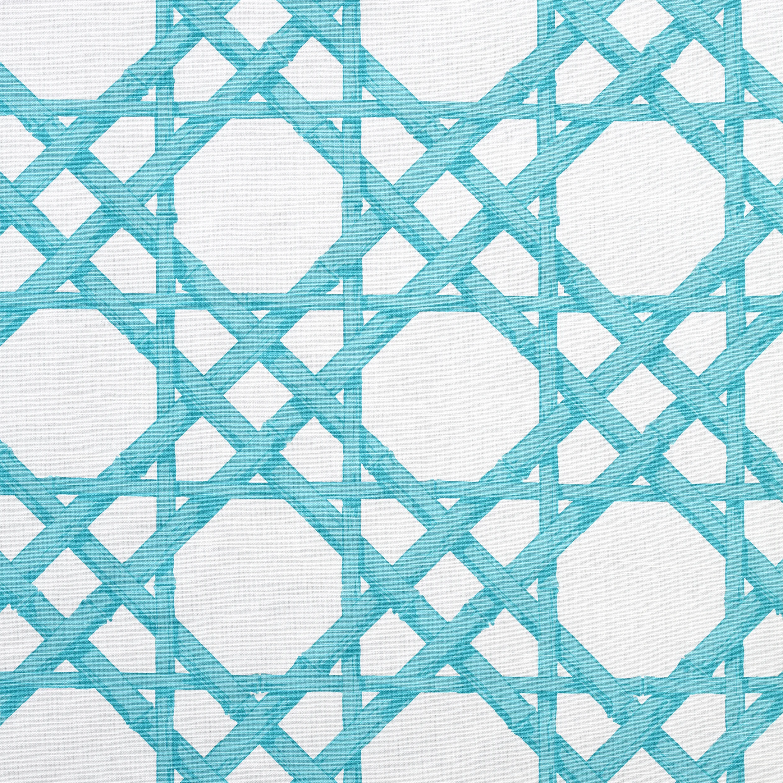 F913143 | Cyrus Cane – Turquoise