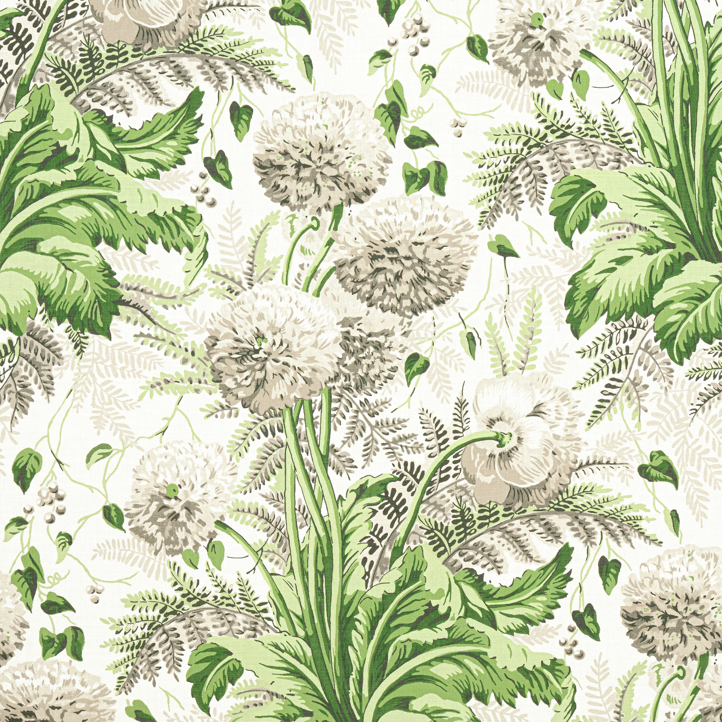 AF24538 | Dahlia – Spring on White