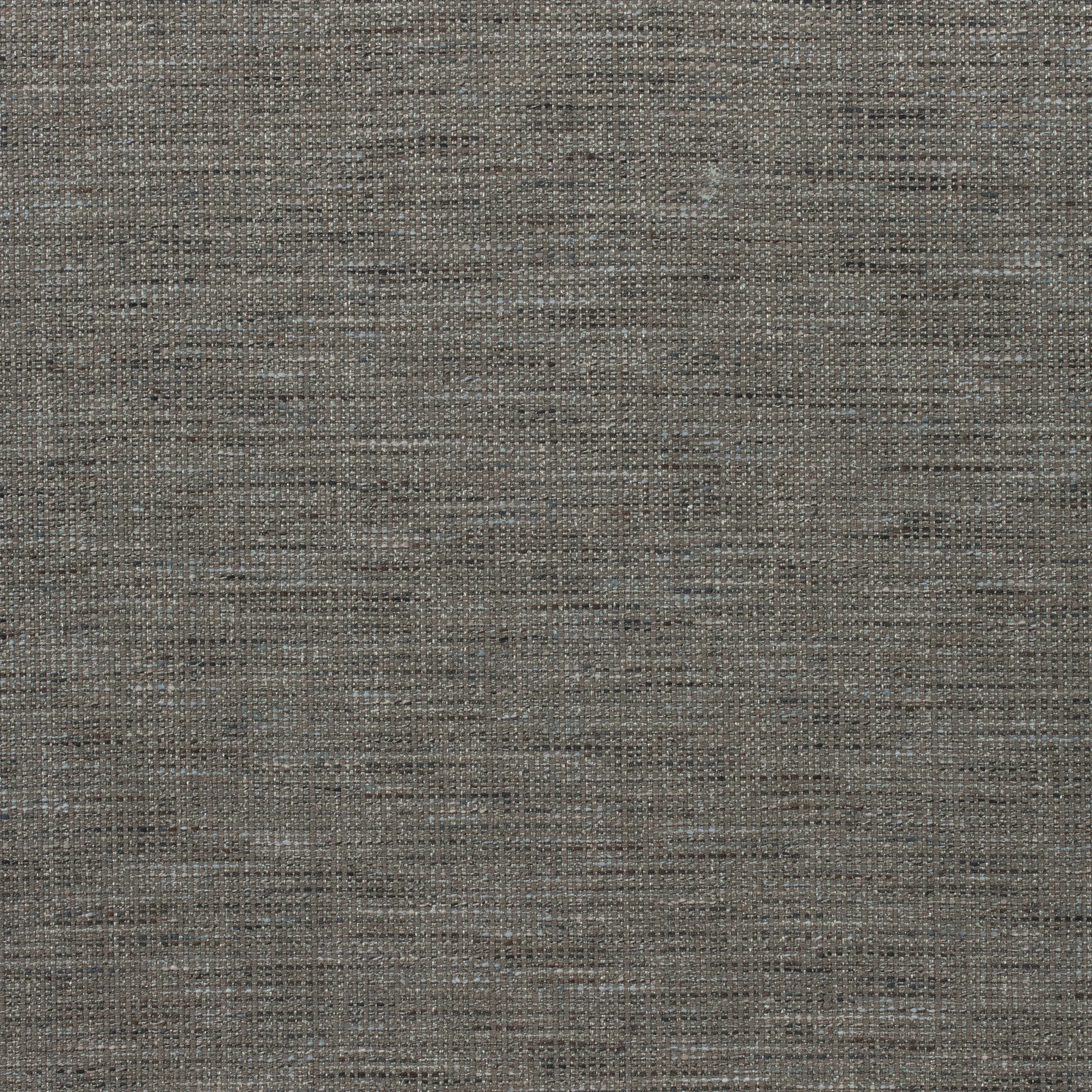 Thibaut Dante in Mushroom (W80701)