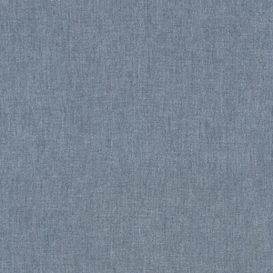 Thibaut Daphne in Denim (FWW81732)
