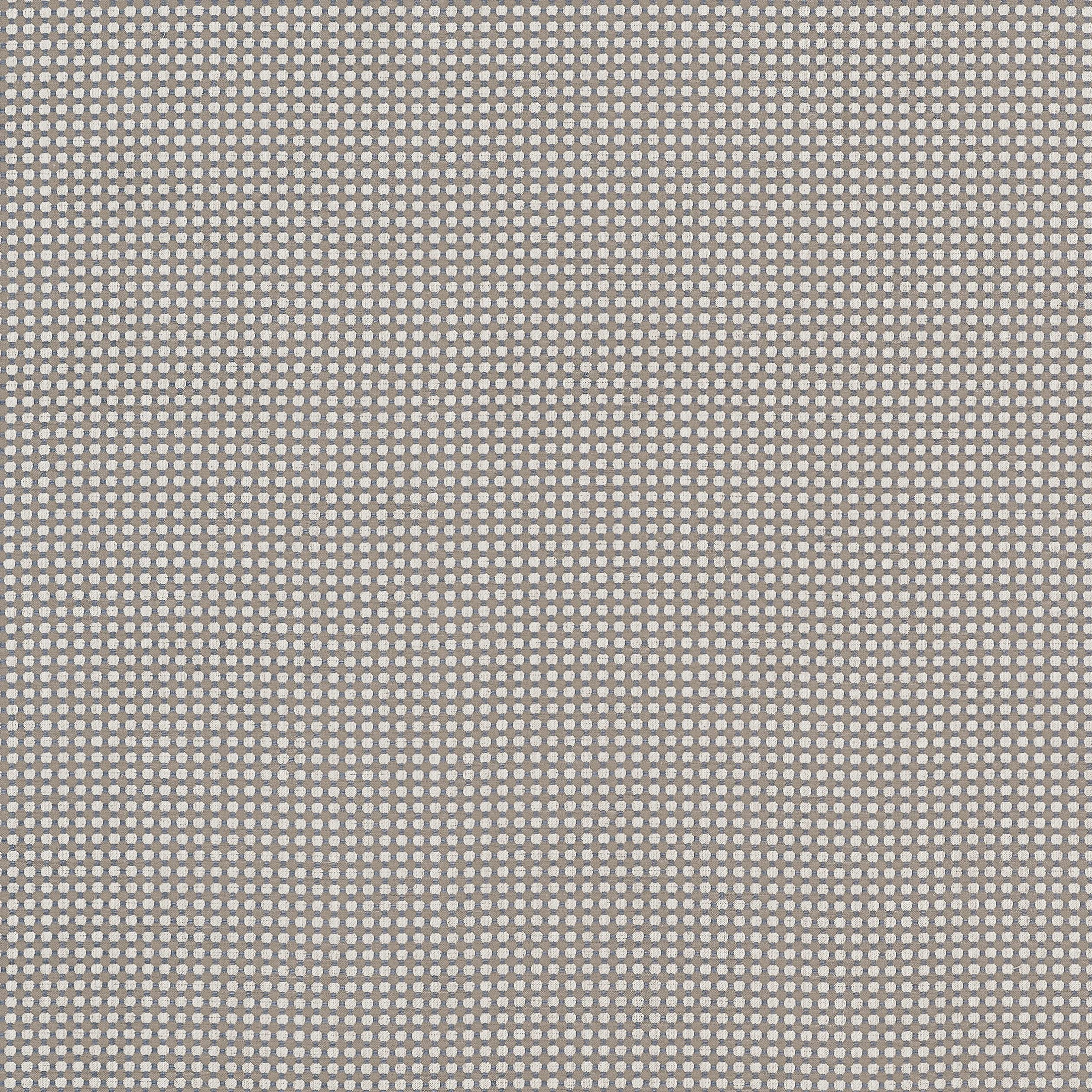 W81921 | Darcy – Ash