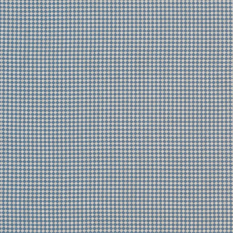 Thibaut Darcy in Denim (W81922)