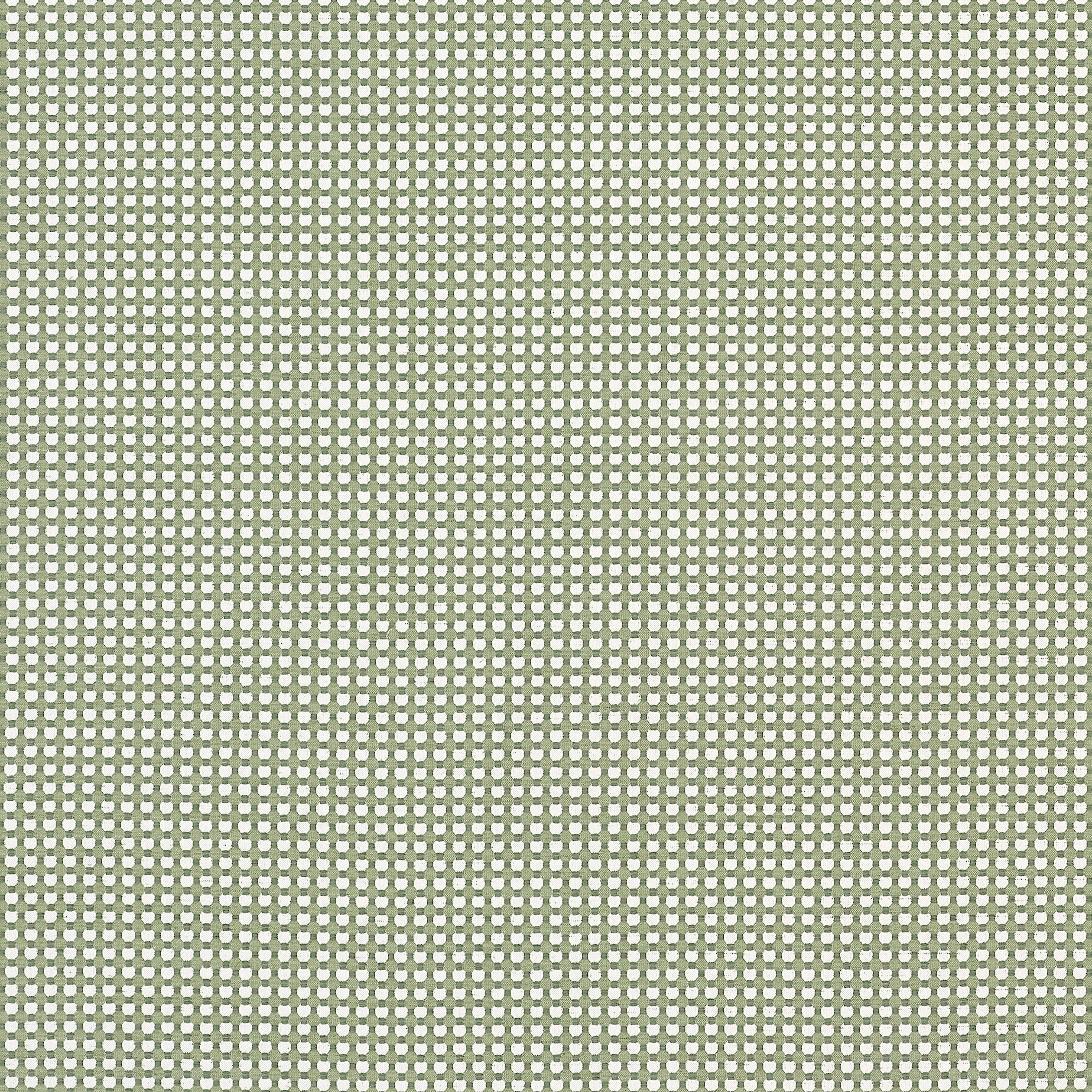 W81918 | Darcy – Leaf