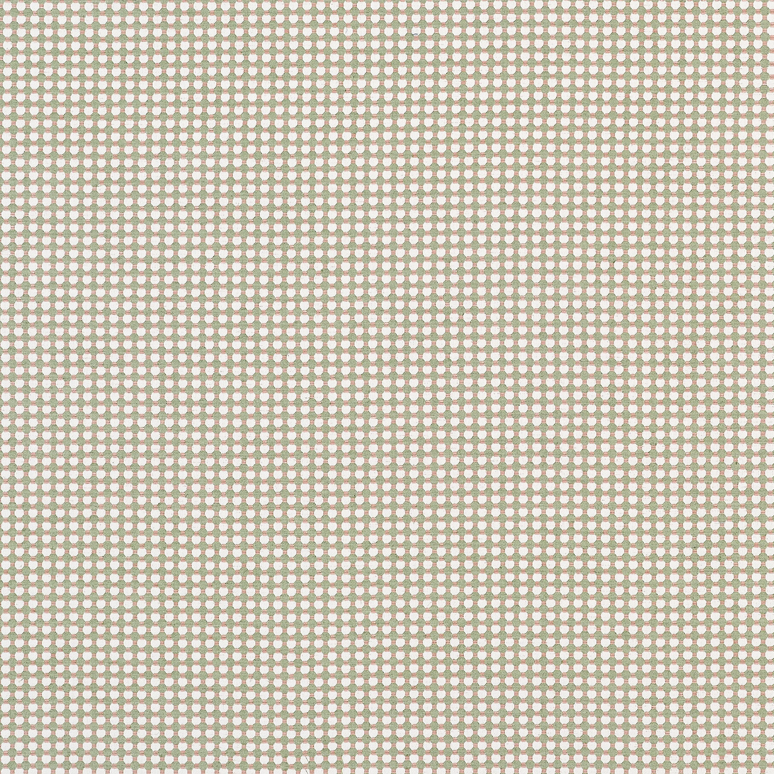W81916 | Darcy – Sweet Pea