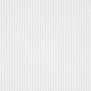 Thibaut Darley Stripe in Snow White (FWW7141)