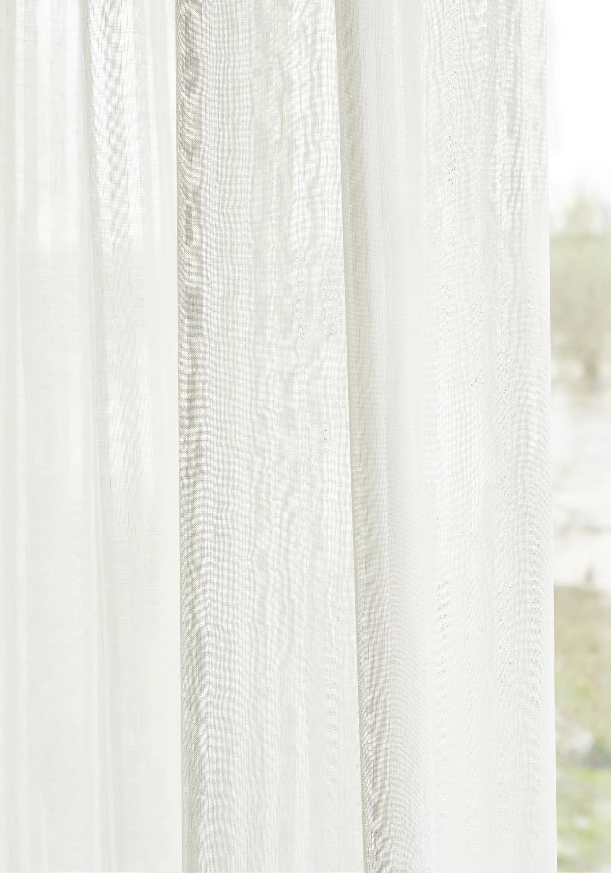 Thibaut Darley Stripe in Snow White (FWW7141)