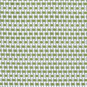 Thibaut Denver in Green and Blue (F914327)